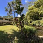 River Estate Accommodations — Kauai North Shore Vacation Rentals - River Estate Kauai