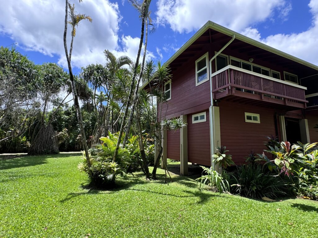 Tranquil View Surrounded by Lush Greenery