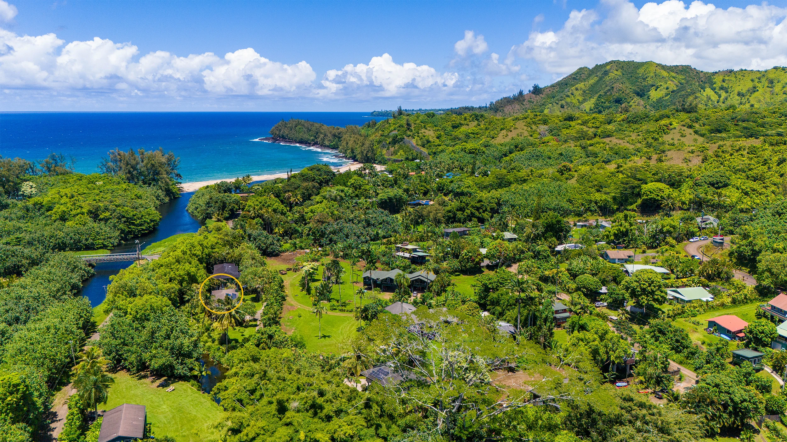 Aerial view of River Estate with The Guest House and The River House, and ocean in the background