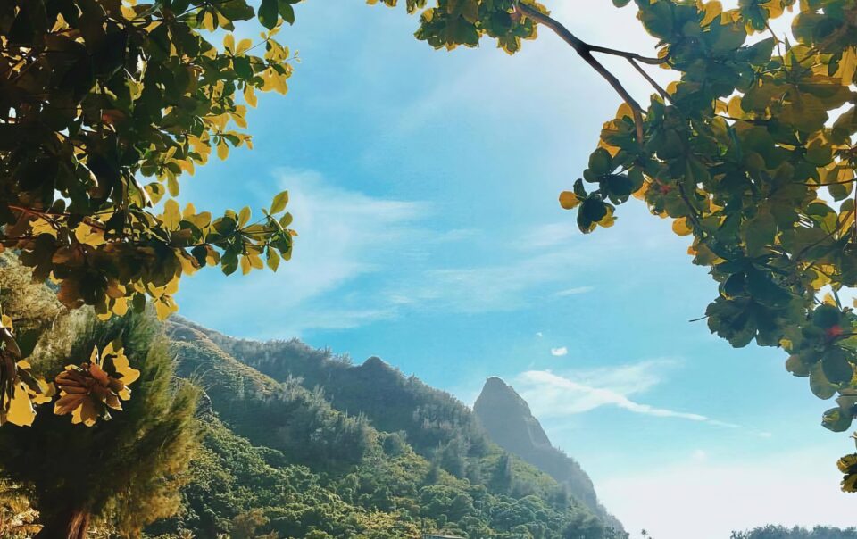 River Estate — Kauaʻi North Shore Vacation Rental | Secrets of Kauai’s North Shore: 7 Hidden Beaches Only Locals Know