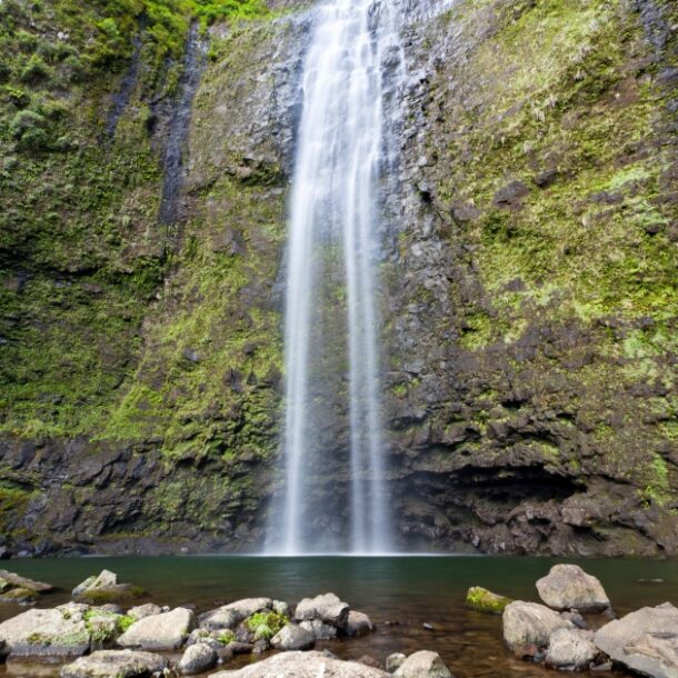 River Estate — Kauaʻi North Shore Vacation Rental | Nā Pali Coast Boat Tour vs Kayak: Which Is Right for You?