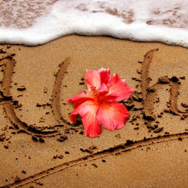 River Estate — Kauaʻi North Shore Vacation Rental | What to Pack for Kauaʻi North Shore: The Local's Honest List