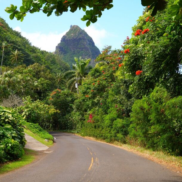 Things to do on Kauai's North Shore