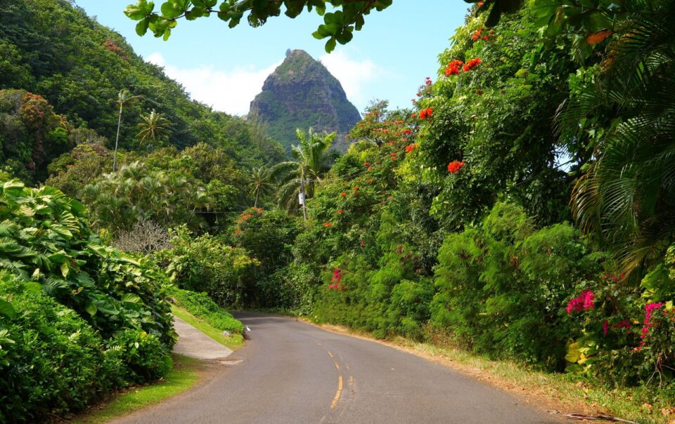 Things to do on Kauai's North Shore