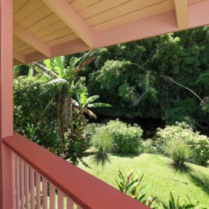 Enjoy the serene river and lush greenery from the deck of The Guest House at River Estate, Kauai. View from the deck of The Guest House at River Estate with lush greenery and serene river