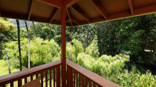 Enjoy the peaceful upriver view from the third bedroom deck at The River House, River Estate, Kauai. Peaceful Upriver View from Third Bedroom Deck
